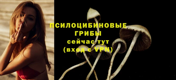 ALPHA PVP Лиски