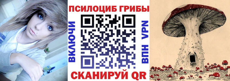 Псилоцибиновые грибы MAGIC MUSHROOMS  цена наркотик  mega tor  Называевск 